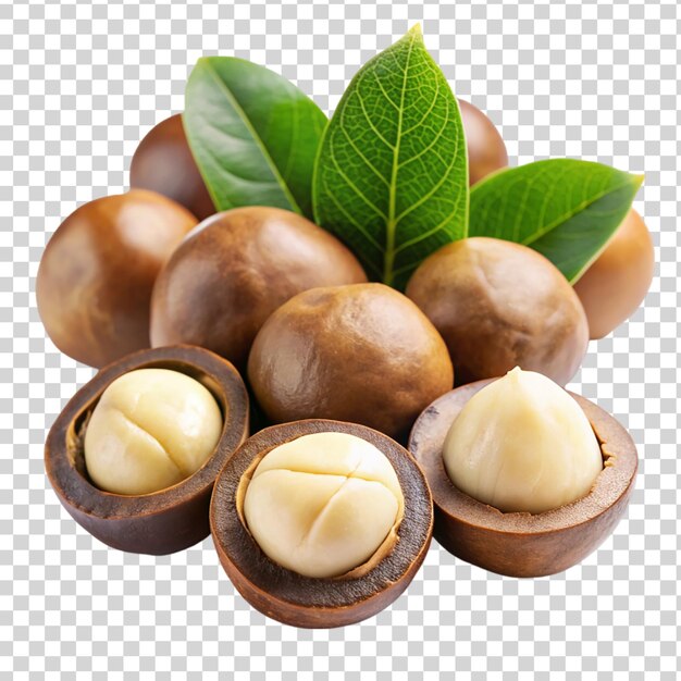 Noci di macadamia isolate su uno sfondo trasparente