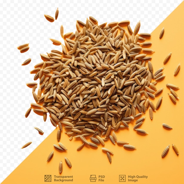 PSD macro caraway seeds