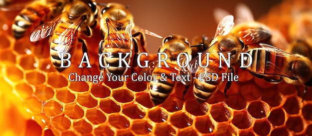 PSD macro photo of working bees on honeycombs beekeeping and honey production