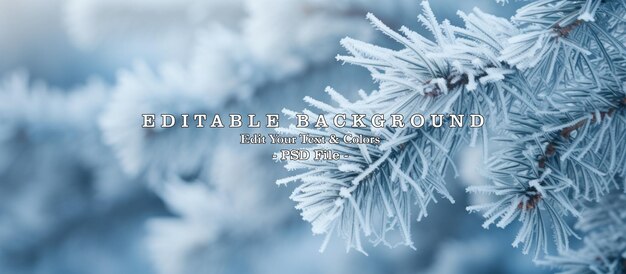 Macro view Pine tree branches covered hoarfrost in white snowy blur background AI generated image