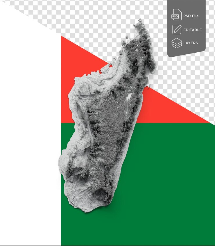 PSD 마다가스카르 지도 회색과 색 그림자 릴리프 색상 높이 마다가스커 지도 배경 3d 일러스트레이션