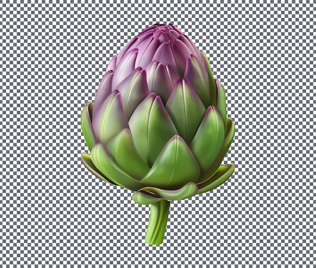 madrigal artichoke flower isolated on transparent background