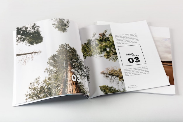 Magazine mock up di progettazione