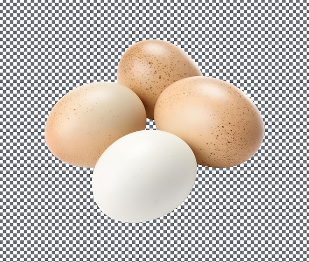 Magnificent Eggs isolated on transparent background