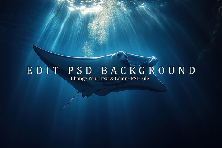 PSD majestic manta ray underwater
