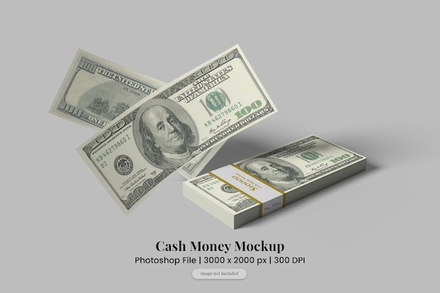 Makieta Cash Money do prezentacji ulotki i banera marketingowego