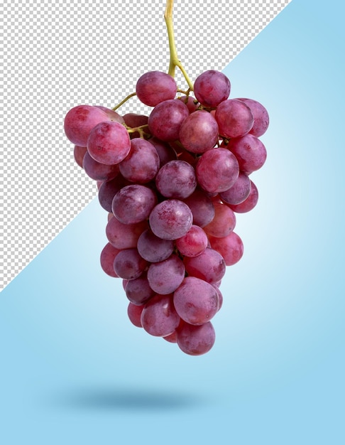 PSD makieta czerwonych winogron wisząca na edytowalnym tle