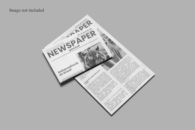 Makieta gazety perspektywicznej do zaprezentowania projektu klientom