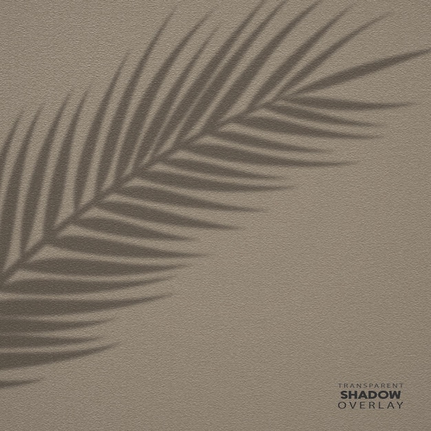 Makieta nakładki Organic Shadow