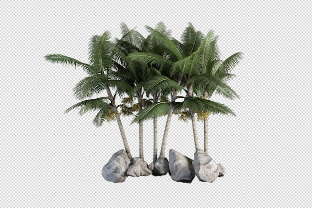 Mała Plantacja Palm