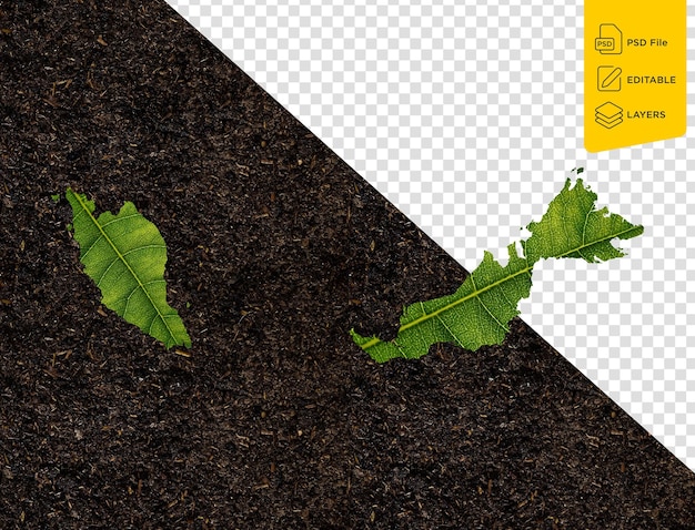Malaysia map made of green leaves on isolated background ecology concept