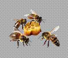 PSD małe, urocze pszczoły izolowane na przezroczystym tle