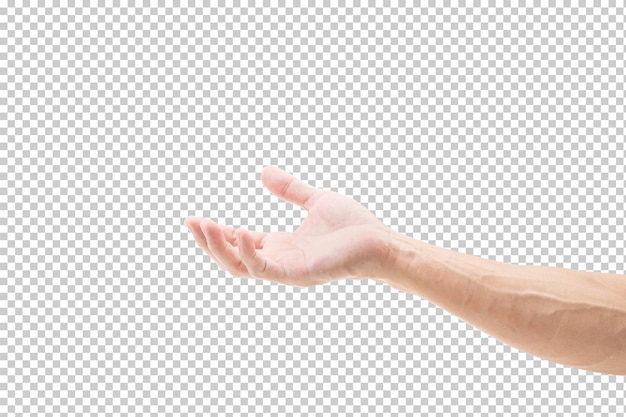 PSD man hand isolated