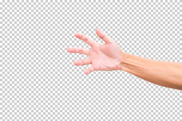 PSD man hand isolated