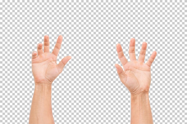 PSD man hand isolated