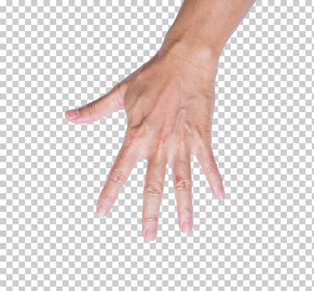 PSD man hand isolated