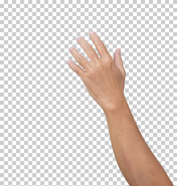 PSD man hand isolated