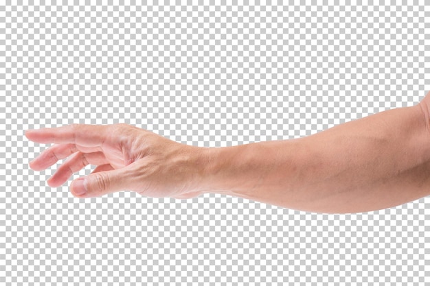 PSD man hand isolated