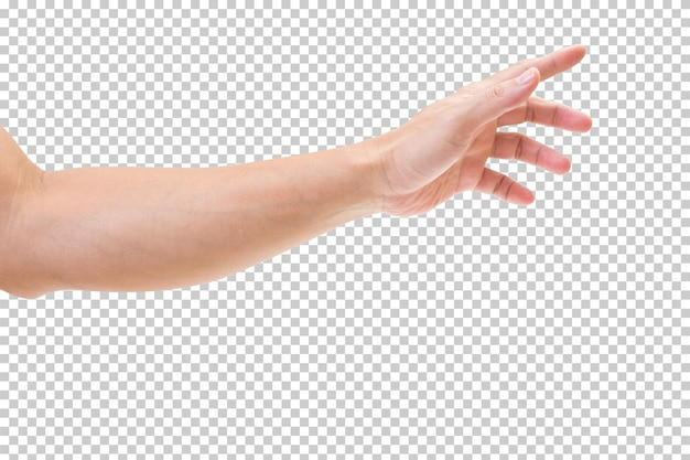 PSD man hand isolated