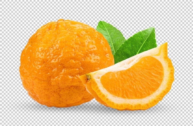 PSD mandarijnen oranje geïsoleerd op achtergrond van de alfa-laag