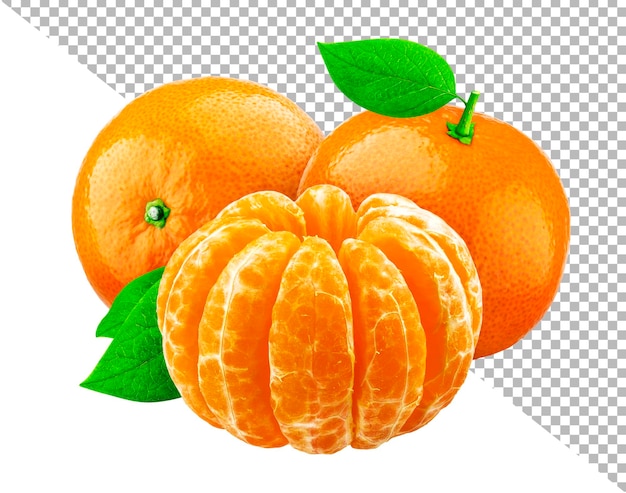 클리핑 패스, 감귤 오렌지 과일과 흰색 배경에 고립 된 만다린
