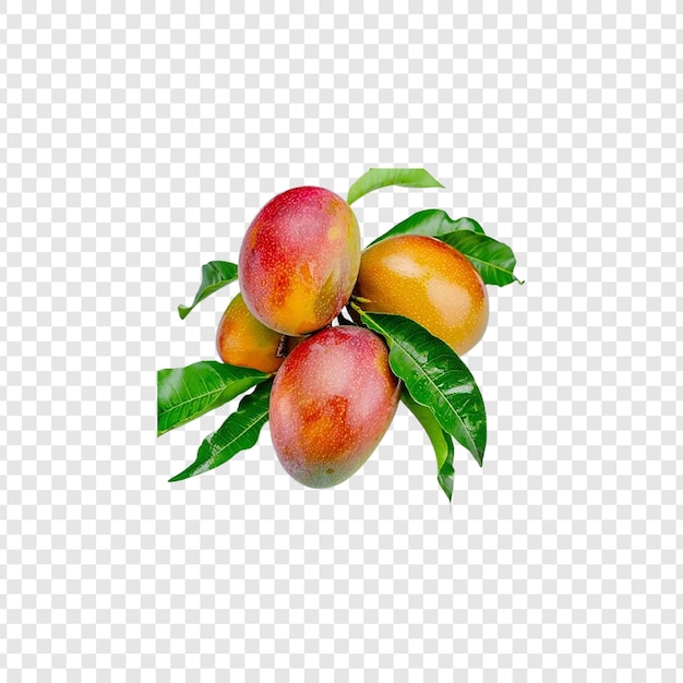 mango odizolowane na białym tle ścieżka wycięcia pełna głębokość pola