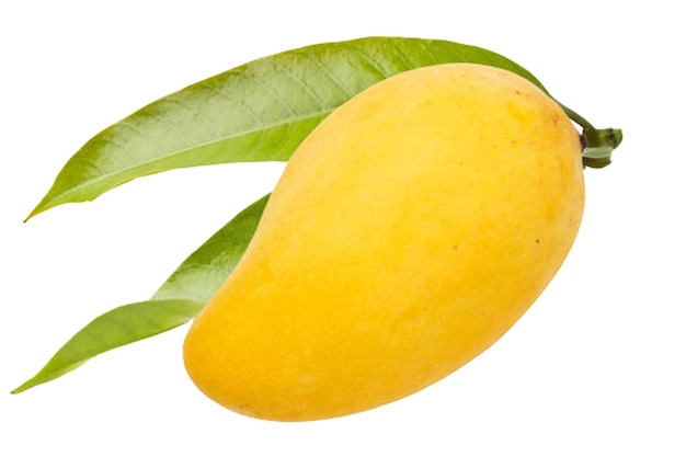 PSD mango png afbeeldingen