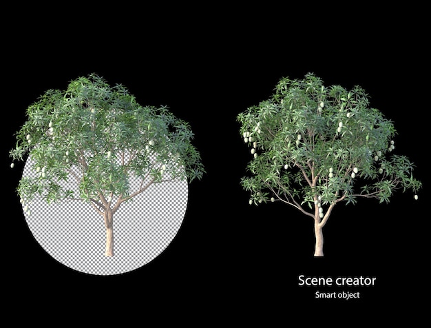 Mangoboom en tak uitknippad mangifera indica geïsoleerd