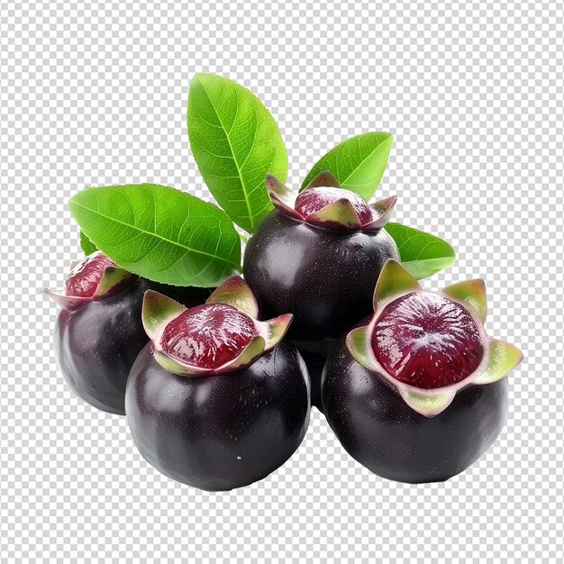 Mangosteen geïsoleerd op doorzichtige achtergrond