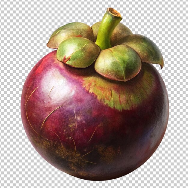 PSD mangosteen isolati sullo strato alfa png