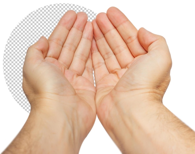 Mans hand isolated on white background