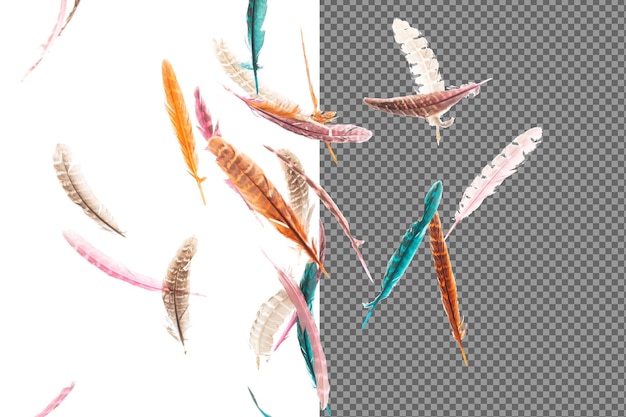 PSD many color feather fly fall beautiful spiral pattern in air over black background isolated puffy fluffy soft feathers like dream floating dove in sky colorful feathers are so light and delicate