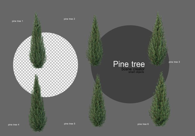 PSD many different types of pines