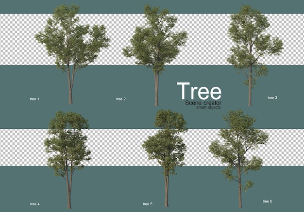 Many different types of trees