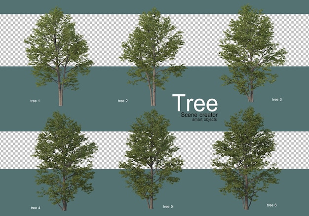 Many different types of trees