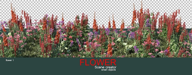 Many kinds of colorful flowers