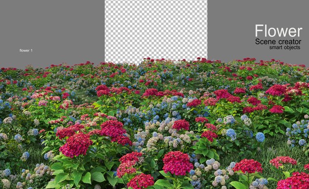 PSD 多くの種類の花