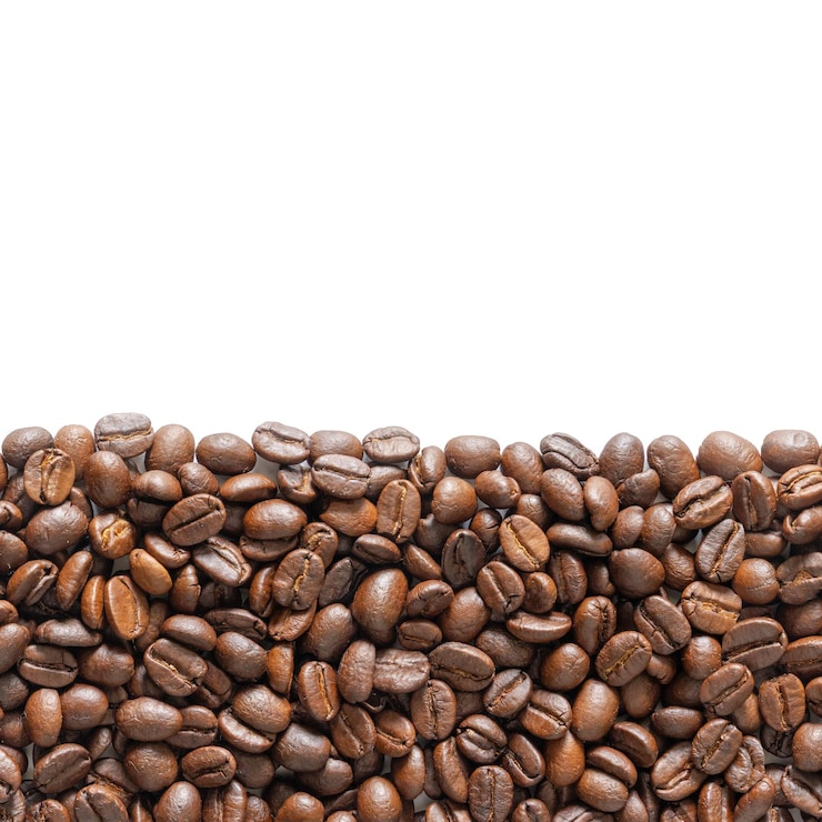 PSD many roasted coffee beans on white background coffee beans border with area for copy space