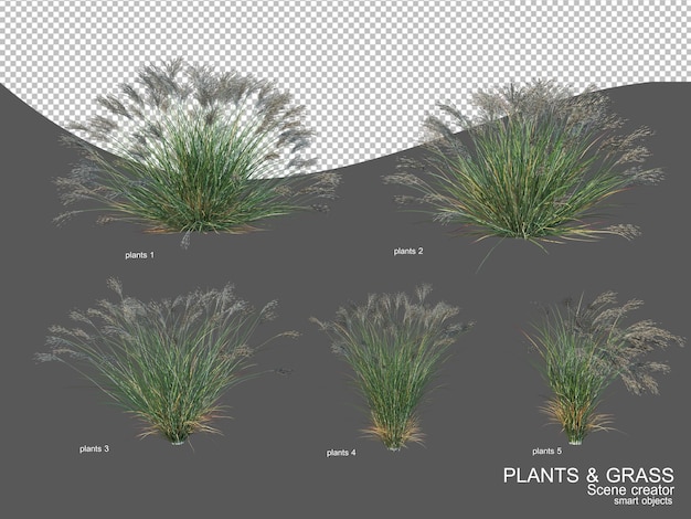 PSD many types of grasses