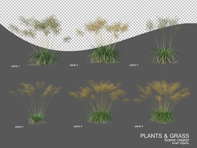 PSD many types of grasses