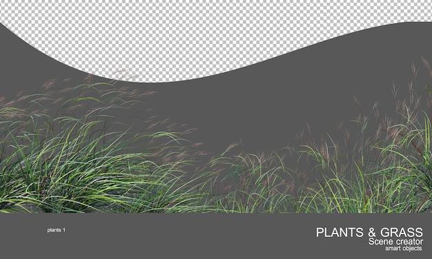 多くの種類の草