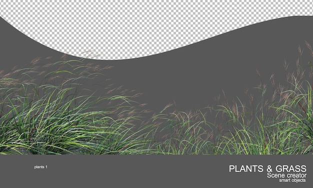 PSD many types of grasses