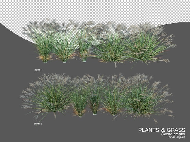 PSD 多くの種類の草