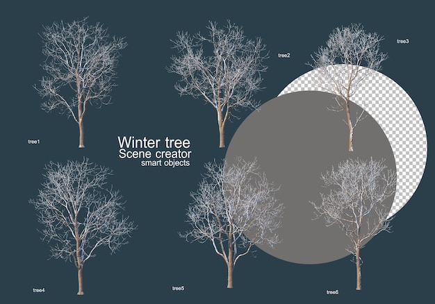 PSD 冬の多くの種類の木