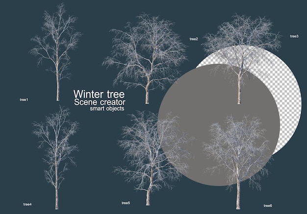PSD Множество видов деревьев зимой
