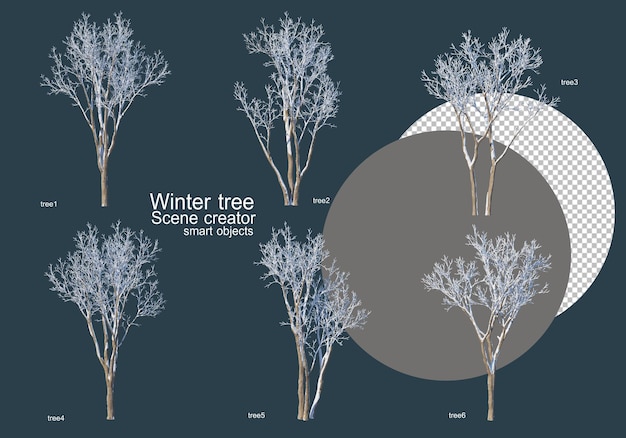 PSD molti tipi di alberi in inverno