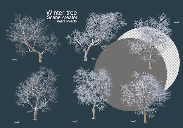 PSD molti tipi di alberi in inverno