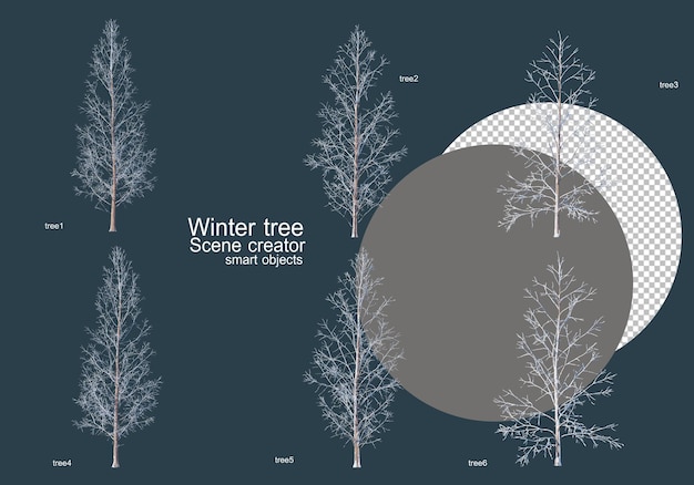 PSD molti tipi di alberi in inverno