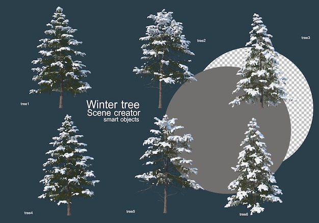 Many types of trees in winter