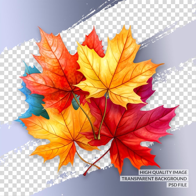 PSD maple leaf png 3d png clipart doorzichtige geïsoleerde achtergrond